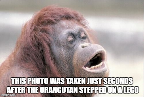 Monkey OOH | THIS PHOTO WAS TAKEN JUST SECONDS AFTER THE ORANGUTAN STEPPED ON A LEGO | image tagged in memes,monkey ooh | made w/ Imgflip meme maker