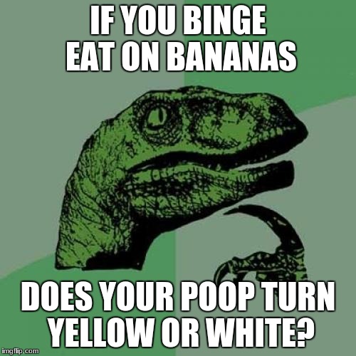 Philosoraptor | IF YOU BINGE EAT ON BANANAS; DOES YOUR POOP TURN YELLOW OR WHITE? | image tagged in memes,philosoraptor | made w/ Imgflip meme maker