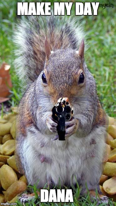 funny squirrels with guns (5) | MAKE MY DAY; DANA | image tagged in funny squirrels with guns 5 | made w/ Imgflip meme maker