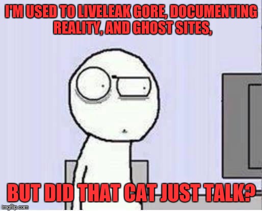 Shocked guy | I'M USED TO LIVELEAK GORE, DOCUMENTING REALITY, AND GHOST SITES, BUT DID THAT CAT JUST TALK? | image tagged in shocked guy | made w/ Imgflip meme maker