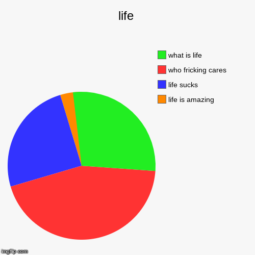 life | life is amazing, life sucks, who fricking cares, what is life | image tagged in funny,pie charts | made w/ Imgflip chart maker