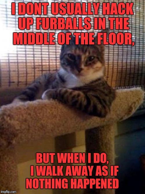 The Most Interesting Cat In The World Meme | I DONT USUALLY HACK UP FURBALLS IN THE MIDDLE OF THE FLOOR, BUT WHEN I DO,  I WALK AWAY AS IF NOTHING HAPPENED | image tagged in memes,the most interesting cat in the world | made w/ Imgflip meme maker