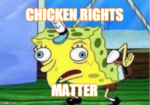 Mocking Spongebob | CHICKEN RIGHTS; MATTER | image tagged in memes,mocking spongebob | made w/ Imgflip meme maker