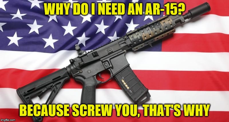 If you have a problem with me owning one, too bad. | WHY DO I NEED AN AR-15? BECAUSE SCREW YOU, THAT'S WHY | image tagged in memes,ar-15,guns,2nd amendment | made w/ Imgflip meme maker