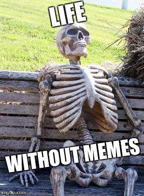 Waiting Skeleton | LIFE; WITHOUT MEMES | image tagged in memes,waiting skeleton | made w/ Imgflip meme maker