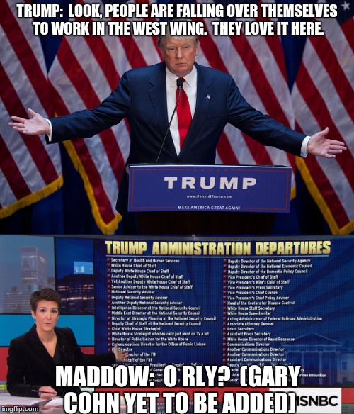Drumpf the Clown Speaketh Again (Come at me, trolls!) |  TRUMP:  LOOK, PEOPLE ARE FALLING OVER THEMSELVES TO WORK IN THE WEST WING.  THEY LOVE IT HERE. MADDOW:  O RLY?  (GARY COHN YET TO BE ADDED) | image tagged in donald trump is an idiot,rachel maddow,funny,memes,fake news | made w/ Imgflip meme maker