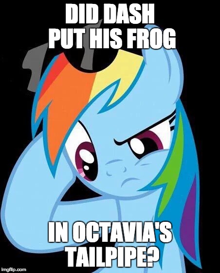 XD LOL! | DID DASH PUT HIS FROG; IN OCTAVIA'S TAILPIPE? | image tagged in confused rainbow dash,memes,funny,octavia_melody,dashhopes | made w/ Imgflip meme maker