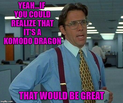 That Would Be Great Meme | YEAH...IF YOU COULD REALIZE THAT IT'S A KOMODO DRAGON THAT WOULD BE GREAT | image tagged in memes,that would be great | made w/ Imgflip meme maker