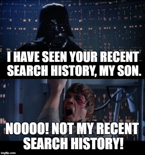 Star Wars No | I HAVE SEEN YOUR RECENT SEARCH HISTORY, MY SON. NOOOO! NOT MY RECENT SEARCH HISTORY! | image tagged in memes,star wars no | made w/ Imgflip meme maker