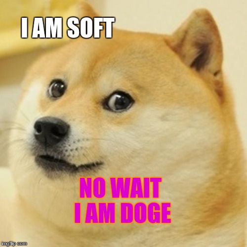 Doge Meme | I AM SOFT; NO WAIT I AM DOGE | image tagged in memes,doge | made w/ Imgflip meme maker