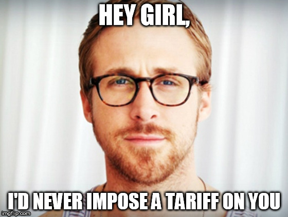 Ryan Gosling - Hey Girl | HEY GIRL, I'D NEVER IMPOSE A TARIFF ON YOU | image tagged in ryan gosling - hey girl | made w/ Imgflip meme maker