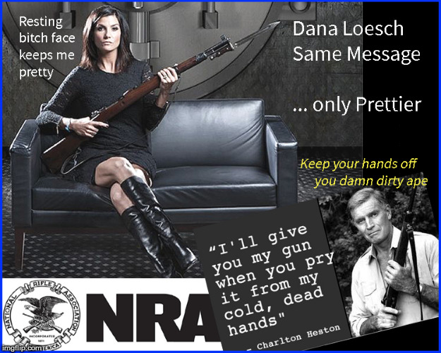 Cold Dead Hands....only prettier | image tagged in dana loesch,nra,girls with guns,politics lol,current events,funny memes | made w/ Imgflip meme maker