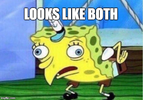 Mocking Spongebob Meme | LOOKS LIKE BOTH | image tagged in memes,mocking spongebob | made w/ Imgflip meme maker