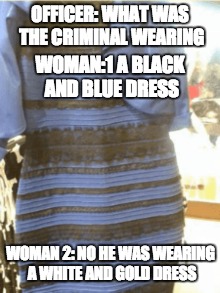 the dress | OFFICER: WHAT WAS THE CRIMINAL WEARING; WOMAN:1 A BLACK AND BLUE DRESS; WOMAN 2: NO HE WAS WEARING A WHITE AND GOLD DRESS | image tagged in the dress | made w/ Imgflip meme maker