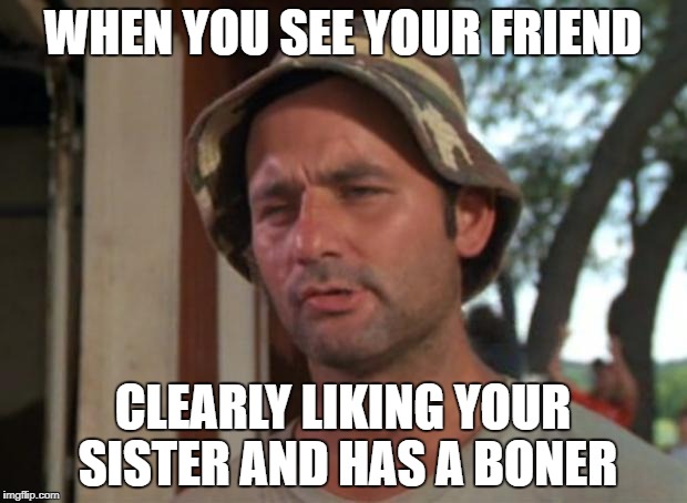 So I Got That Goin For Me Which Is Nice Meme | WHEN YOU SEE YOUR FRIEND; CLEARLY LIKING YOUR SISTER AND HAS A BONER | image tagged in memes,so i got that goin for me which is nice | made w/ Imgflip meme maker