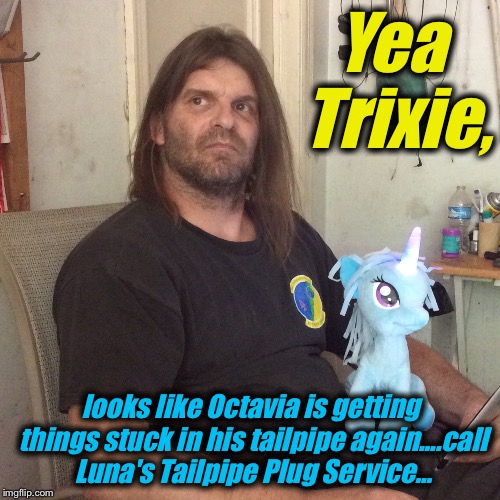 Yea Trixie, looks like Octavia is getting things stuck in his tailpipe again....call Luna's Tailpipe Plug Service... | made w/ Imgflip meme maker