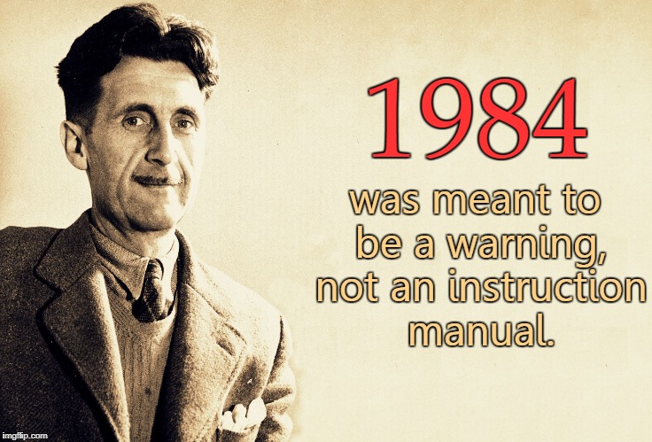  was meant to be a warning, not an instruction manual. 1984 | image tagged in 1984 | made w/ Imgflip meme maker