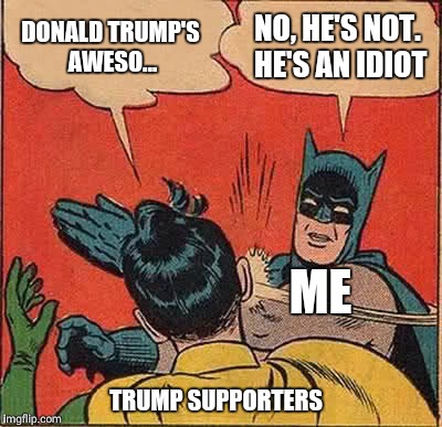 Batman Slapping Robin Meme | DONALD TRUMP'S AWESO... NO, HE'S NOT. HE'S AN IDIOT; ME; TRUMP SUPPORTERS | image tagged in memes,batman slapping robin | made w/ Imgflip meme maker