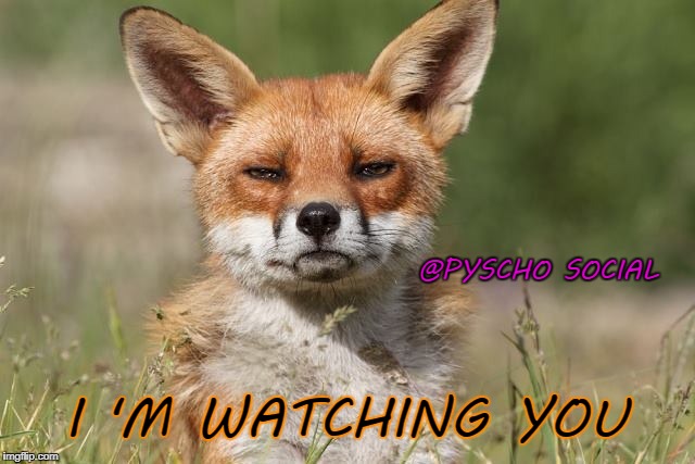 @PYSCHO SOCIAL; I 'M WATCHING YOU | image tagged in watching | made w/ Imgflip meme maker