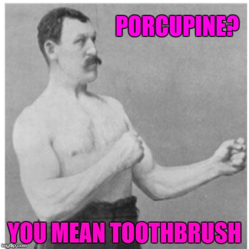 Overly Manly Man | PORCUPINE? YOU MEAN TOOTHBRUSH | image tagged in memes,overly manly man | made w/ Imgflip meme maker