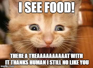 Excited Kitten | I SEE FOOD! THERE A TREAAAAAAAAAAT WITH IT THANKS HUMAN I STILL NO LIKE YOU | image tagged in excited kitten | made w/ Imgflip meme maker