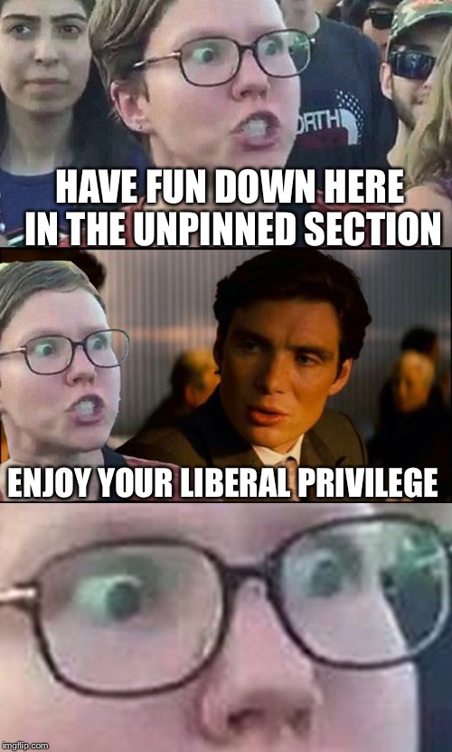 Inception Liberal | HAVE FUN DOWN HERE IN THE UNPINNED SECTION; ENJOY YOUR LIBERAL PRIVILEGE | image tagged in inception liberal | made w/ Imgflip meme maker