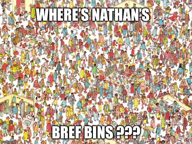 Waldo | WHERE’S NATHAN’S; BREF BINS ??? | image tagged in waldo | made w/ Imgflip meme maker