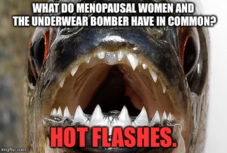 This joke is below the belt | WHAT DO MENOPAUSAL WOMEN AND THE UNDERWEAR BOMBER HAVE IN COMMON? HOT FLASHES. | image tagged in bad joke piranha,menopause,underwear,bomb,flash,memes | made w/ Imgflip meme maker