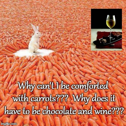 Why??? | Why can't I be comforted with carrots???  Why does it have to be chocolate and wine??? | image tagged in comforted,carrots,chocolate,wine | made w/ Imgflip meme maker