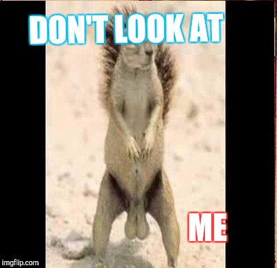 DON'T LOOK AT ME | made w/ Imgflip meme maker