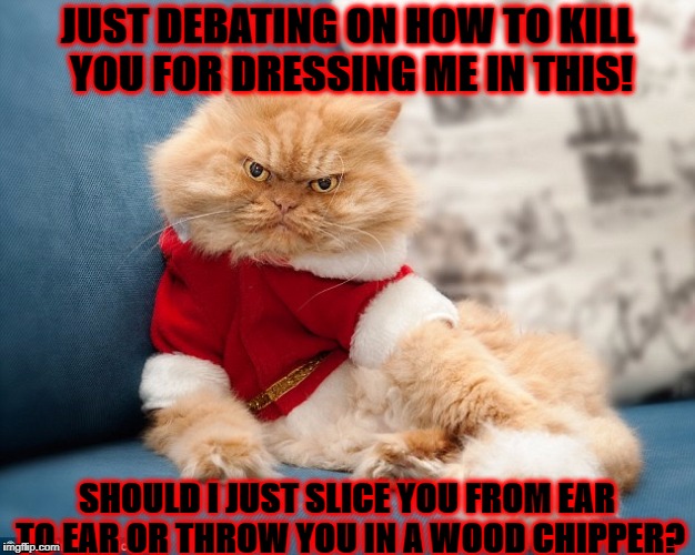 JUST DEBATING ON HOW TO KILL YOU FOR DRESSING ME IN THIS! SHOULD I JUST SLICE YOU FROM EAR TO EAR OR THROW YOU IN A WOOD CHIPPER? | image tagged in killer persian | made w/ Imgflip meme maker