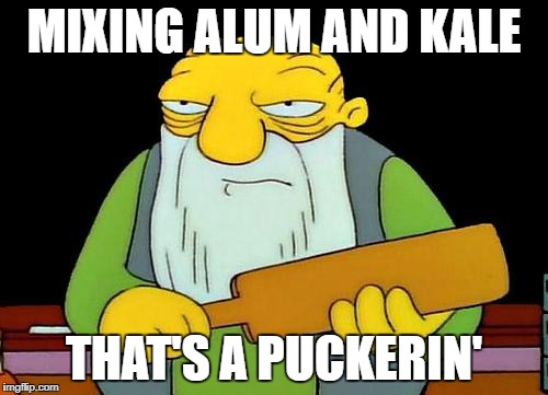 That's a paddlin' Meme | MIXING ALUM AND KALE; THAT'S A PUCKERIN' | image tagged in memes,that's a paddlin' | made w/ Imgflip meme maker
