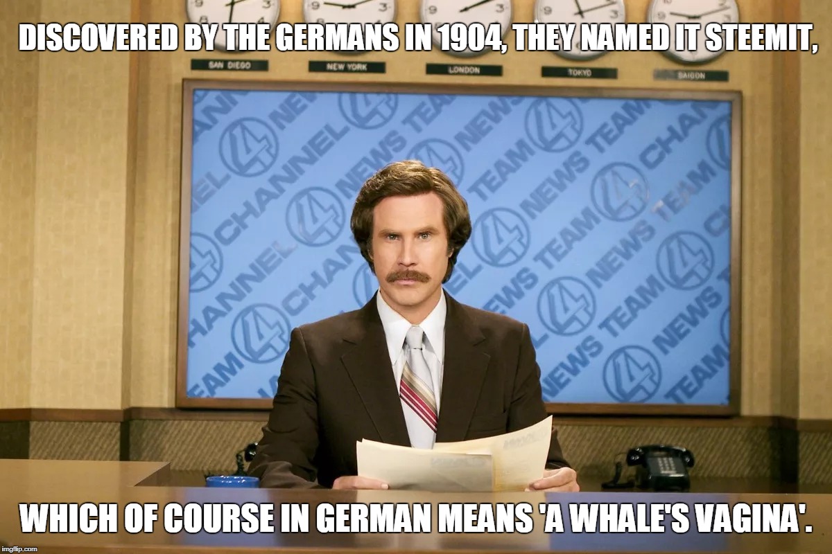 DISCOVERED BY THE GERMANS IN 1904, THEY NAMED IT STEEMIT, WHICH OF COURSE IN GERMAN MEANS 'A WHALE'S VAGINA'. | made w/ Imgflip meme maker