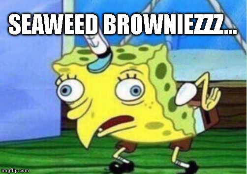 Mocking Spongebob Meme | SEAWEED BROWNIEZZZ... | image tagged in memes,mocking spongebob | made w/ Imgflip meme maker