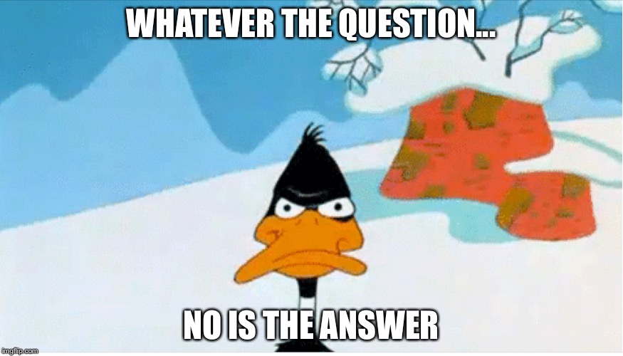 WHATEVER THE QUESTION... NO IS THE ANSWER | image tagged in daffy duck,memes | made w/ Imgflip meme maker