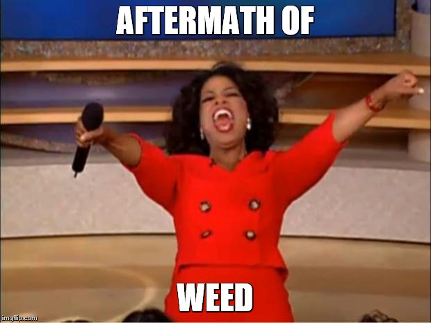 Oprah You Get A Meme | AFTERMATH OF; WEED | image tagged in memes,oprah you get a | made w/ Imgflip meme maker
