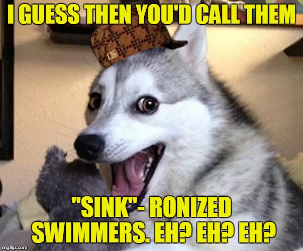 I GUESS THEN YOU'D CALL THEM "SINK"- RONIZED SWIMMERS. EH? EH? EH? | made w/ Imgflip meme maker