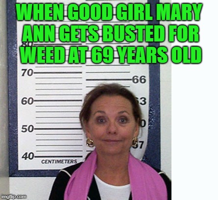 I knew there was another reason I liked her so much!!! Gilligan’s Island Week March 5th-12th A DrSarcasm Event | WHEN GOOD GIRL MARY ANN GETS BUSTED FOR WEED AT 69 YEARS OLD | image tagged in dawn wells mugshot,memes,mary ann busted,gilligans island week,funny,mary ann | made w/ Imgflip meme maker