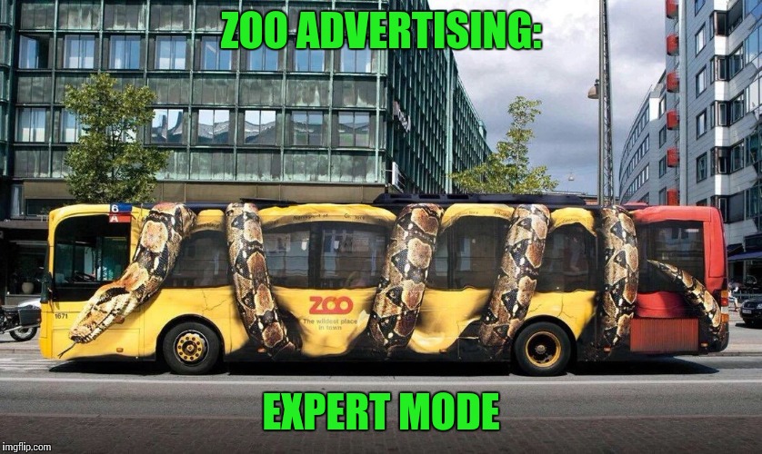 Cool advertising | ZOO ADVERTISING:; EXPERT MODE | image tagged in zoo,advertising,bus,snake,pipe_picasso | made w/ Imgflip meme maker