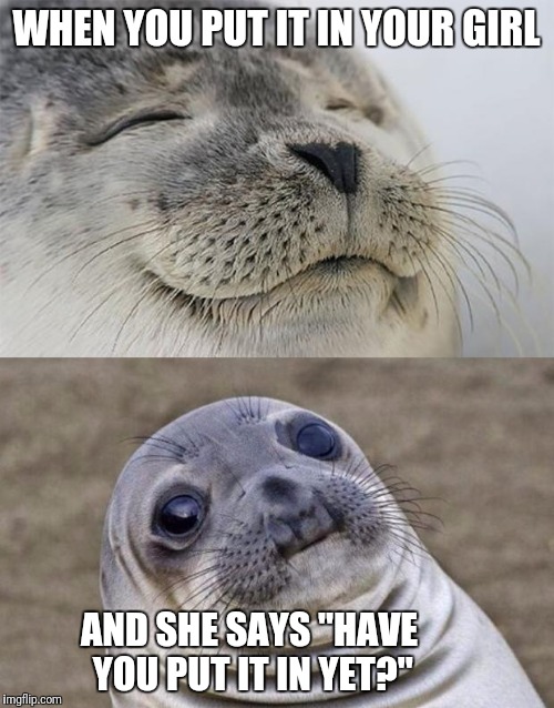 Short Satisfaction VS Truth Meme | WHEN YOU PUT IT IN YOUR GIRL; AND SHE SAYS "HAVE YOU PUT IT IN YET?" | image tagged in memes,short satisfaction vs truth | made w/ Imgflip meme maker