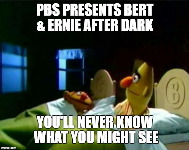Ernie and Bert | PBS PRESENTS BERT & ERNIE AFTER DARK; YOU'LL NEVER KNOW WHAT YOU MIGHT SEE | image tagged in ernie and bert | made w/ Imgflip meme maker