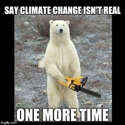 Chainsaw Bear Meme | SAY CLIMATE CHANGE ISN'T REAL; ONE MORE TIME | image tagged in memes,chainsaw bear | made w/ Imgflip meme maker