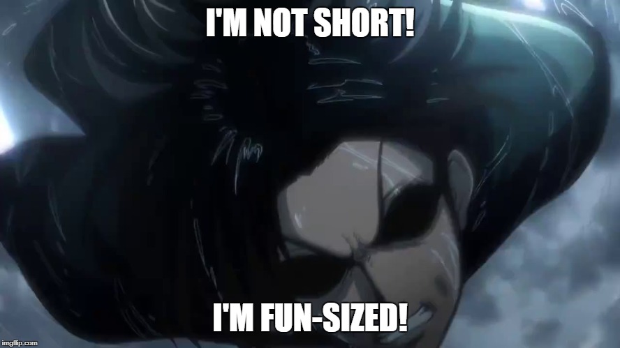 Angry Levi | I'M NOT SHORT! I'M FUN-SIZED! | image tagged in angry levi | made w/ Imgflip meme maker