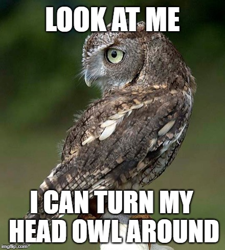 LOOK AT ME I CAN TURN MY HEAD OWL AROUND | made w/ Imgflip meme maker