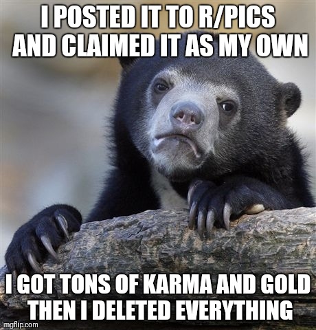 Confession Bear Meme | I POSTED IT TO R/PICS AND CLAIMED IT AS MY OWN; I GOT TONS OF KARMA AND GOLD THEN I DELETED EVERYTHING | image tagged in memes,confession bear | made w/ Imgflip meme maker