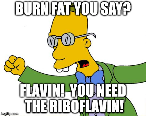 frink | BURN FAT YOU SAY? FLAVIN!  YOU NEED THE RIBOFLAVIN! | image tagged in frink | made w/ Imgflip meme maker