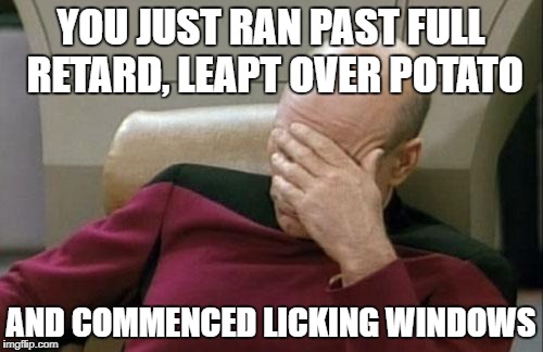 Captain Picard Facepalm | YOU JUST RAN PAST FULL RETARD, LEAPT OVER POTATO; AND COMMENCED LICKING WINDOWS | image tagged in memes,captain picard facepalm | made w/ Imgflip meme maker