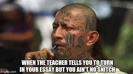 Snitches get stitches | WHEN THE TEACHER TELLS YOU TO TURN IN YOUR ESSAY BUT YOU AIN'T NO SNITCH | image tagged in funny,bad pun dog,so i guess you can say things are getting pretty serious,crazy hispanic man | made w/ Imgflip meme maker