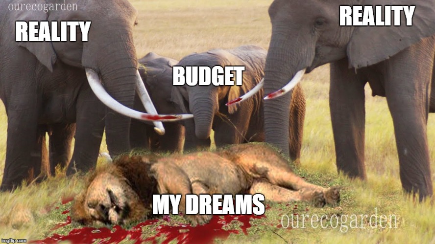 My dreams crushed | REALITY; REALITY; BUDGET; MY DREAMS | image tagged in crushed dreams,elephants,budget,reality | made w/ Imgflip meme maker