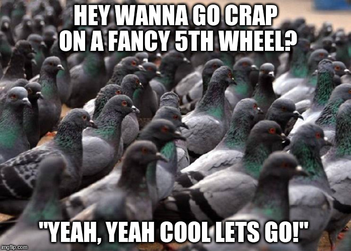 HEY WANNA GO CRAP ON A FANCY 5TH WHEEL? "YEAH, YEAH COOL LETS GO!" | image tagged in funny | made w/ Imgflip meme maker